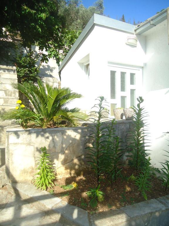 Apartments Villa Petranovic Budva Room photo
